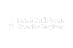 Dutch Caribbean Species Register