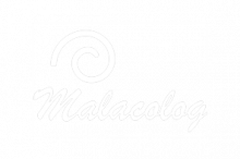 Malacolog - A Database of Western Atlantic Marine Mollusca